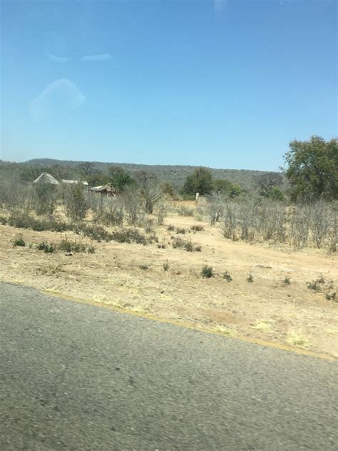 Beautiful Plumage Lovely Scenery An Overdue Report From Zimbabwe