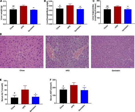 Frontiers Genistein Protects Against Hyperglycemia And Fatty Liver