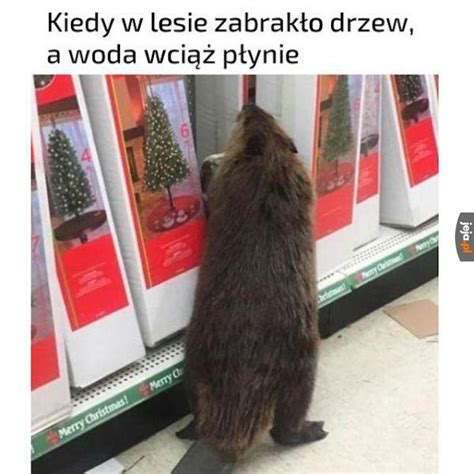 Nic się nie poradzi Jeja pl