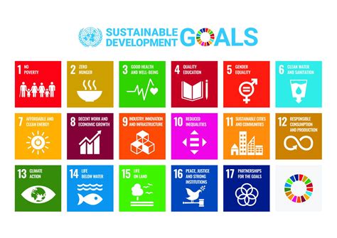 What are the SDGs and why do they matter? - Take 3 For The Sea