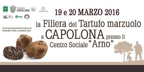 Il Futuro Del Tartufo Toscano Nel Convegno In Programma A Capolona