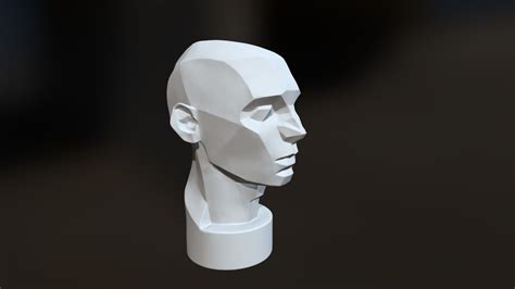 Asaro Head 3D Model By Fabianoaraujo 9d26548 Sketchfab