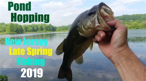 Pond Hopping Nj Late Spring Bass Fishing 2019 Youtube