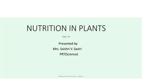 Nutrition In Plants New 2 Pptx