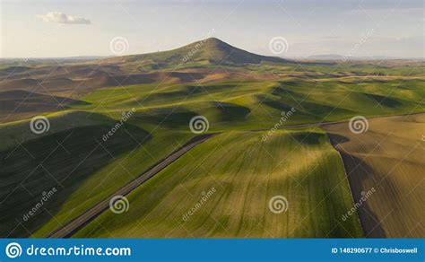 Las Sombras Largas Aparecen En Puesta Del Sol De La Regi N De Palouse