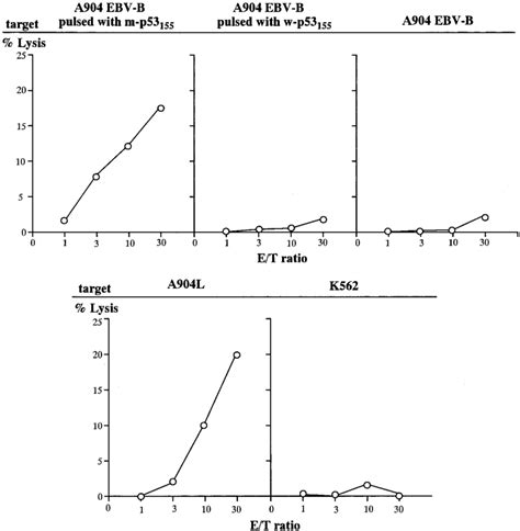 The Cytotoxicity Of The Mutated P53 155 Peptide Specific Ctl Clone The