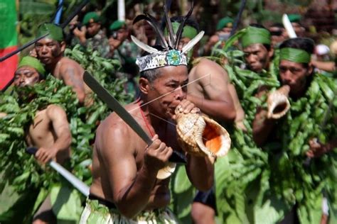 Daftar Suku Di Bengkulu Dan Lokasinya Kata Omed