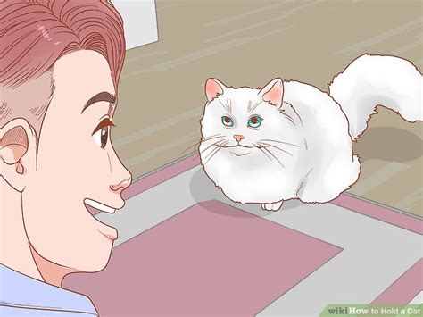 5 Ways To Hold A Cat Wikihow