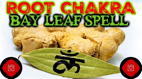 BAY LEAF SPELL TO OPEN ROOT CHAKRA STABILITY GROUNDING FOUNDATION