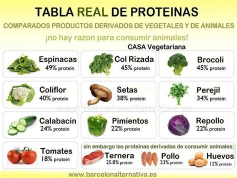 Tabla de Proteínas High Protein Vegetables, Vegetable Protein, Plant ...