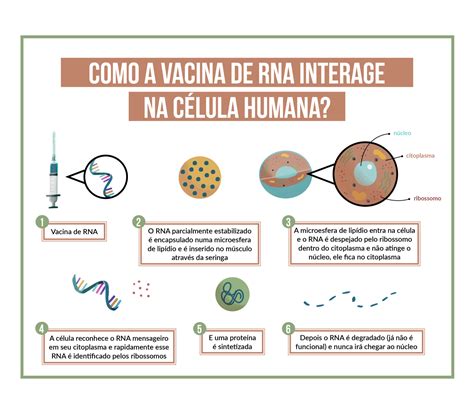 10 Mapas Mentais Sobre Dna Recombinante Study Maps Porn Sex Picture