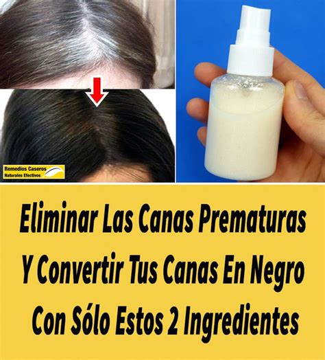 Eliminar Las Canas Prematuras Y Convertir Tus Canas En Negro Con Sólo Estos 2 Ingredien Tinte