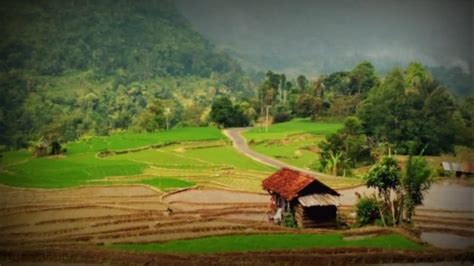 Suasana Bikin Betah Di Kp Rawabeurih Desa Kalapanunggal Kec Cikadu Kab