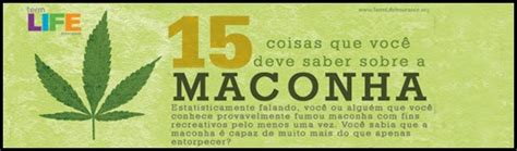 Hempadão Blog Laricas De Informação Sobre Maconha E Cannabis 15