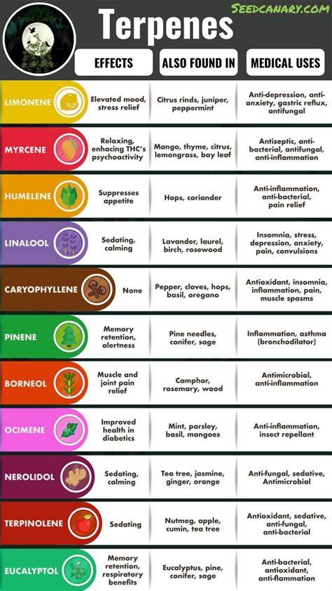 Cannabis Derived Terpenes - Explained