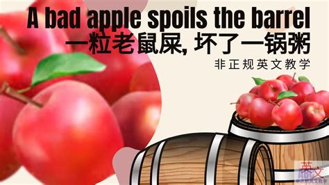 A bad apple spoils the barrel 一粒老鼠屎 坏了一锅粥 YouTube