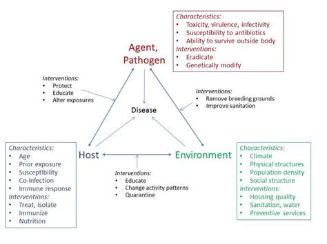 Pin On Epidemiology