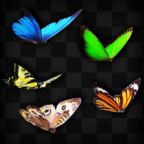 Animated Butterflies 🦋 Blender Flippednormals