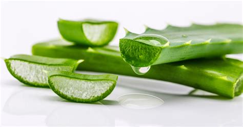 20 Totally Unique Ways To Use Aloe Vera