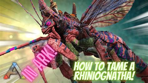 How To Tame A Rhyniognatha In Ark Full Guide Youtube