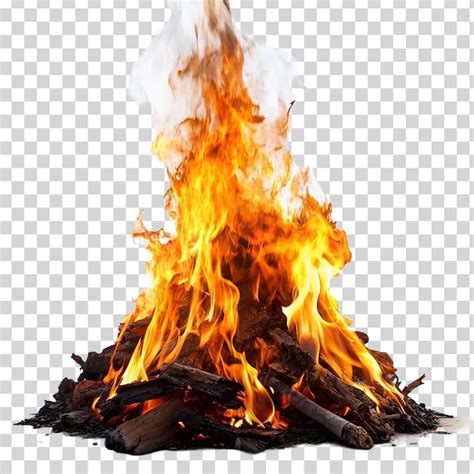 Premium Psd Burning Bonfire With Wood On Transparent Background