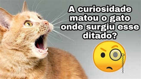 A Curiosidade Matou O Gato Onde Surgiu Esse Ditado YouTube