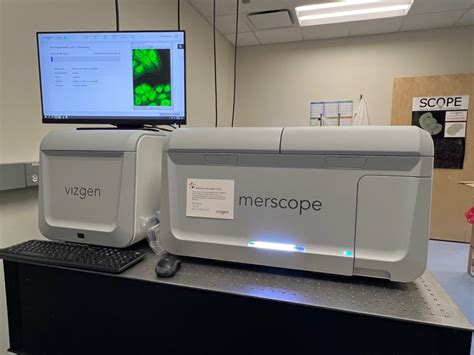 Vizgen Raises Million To Push Single Cell Spatial Genomics