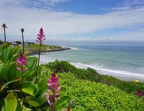 Premium AI Image Coastal Retreat Ocean Breeze And Seaside Charms