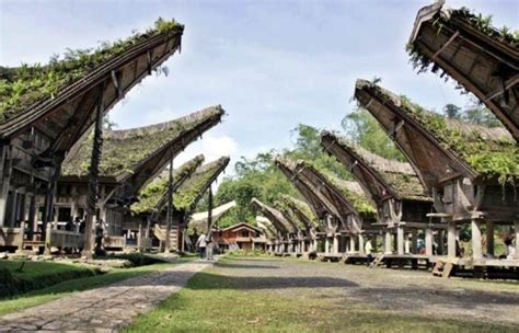 Jangan Lewatkan 5 Destinasi Wisata Ini Saat Berkunjung Ke Tana Toraja