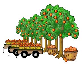 Oranges Clip Art | Clipart Panda - Free Clipart Images