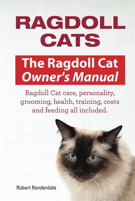 Ragdoll Cats Ragdoll Cat Care Personality Grooming Health Training