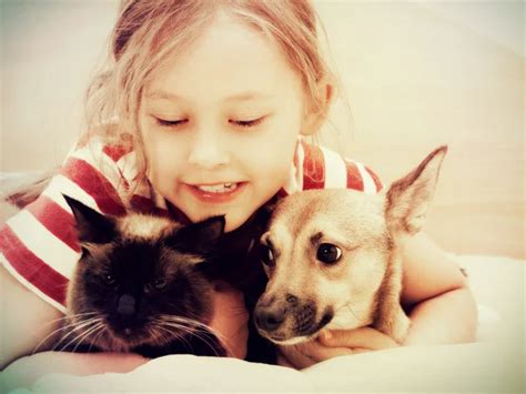 Smiling Dog And Cat