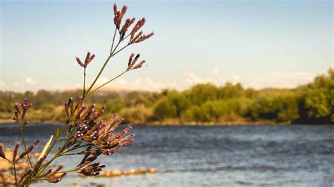 Tenkara Fishing Tips: Tenkara Blog – Tenkara USA