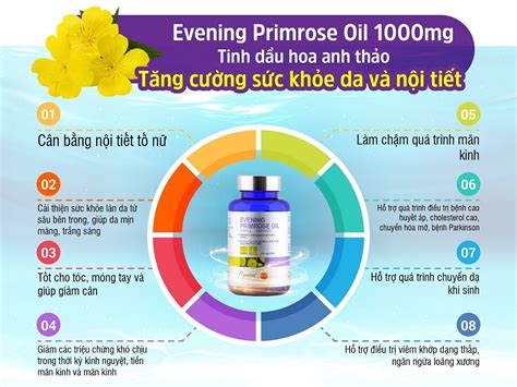 Tinh dầu hoa anh thảo Careline Evening Primrose Oil Hỗ trợ cân bằng