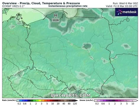 Noc przyniesie mróz Temperatura spadnie do 10 stopni i zmrozi rośliny