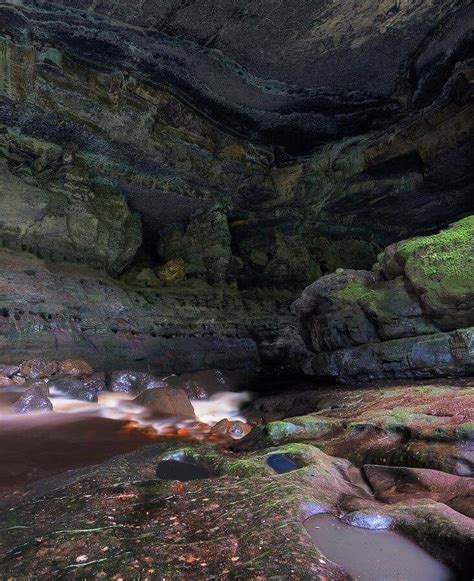 el encanto de los guacharos parques nacionales naturales de colombia