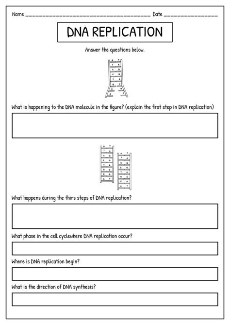 19 DNA Synthesis Worksheet Dna Synthesis Dna Replication