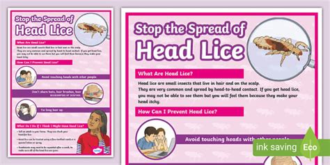 Stop The Spread Of Head Lice Poster Twinkl