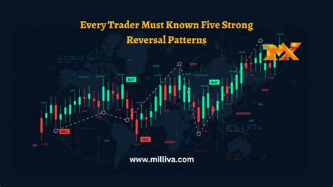 Milliva Best Forex Brokers In The World