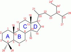 Steroid - New World Encyclopedia