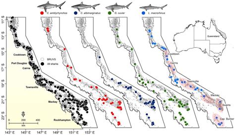 Map Of The Great Barrier Reef Marine Park Australia Showing The Download Scientific Diagram