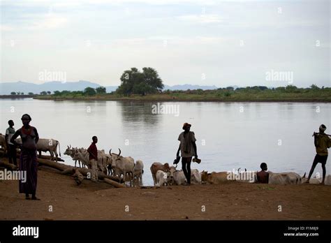 Dassanech Stamm Eines Der Wenigen Indigenen Stämme Des Omo Valley