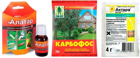 Листовертка: как бороться, препараты, народные средства