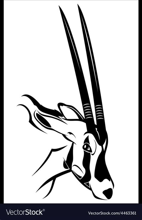 Gemsbok antelope Royalty Free Vector Image - VectorStock