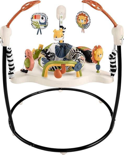 Amazon.com : Fisher-Price Baby Bouncer Palm Paradise Jumperoo Activity Center With Music Lights ...