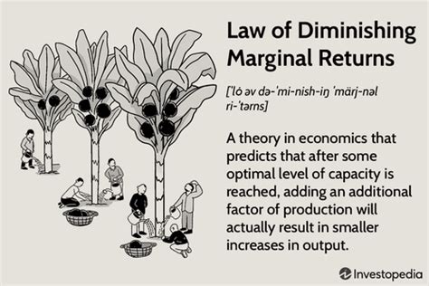 Law Of Diminishing Marginal Returns Definition Example Use In Economics