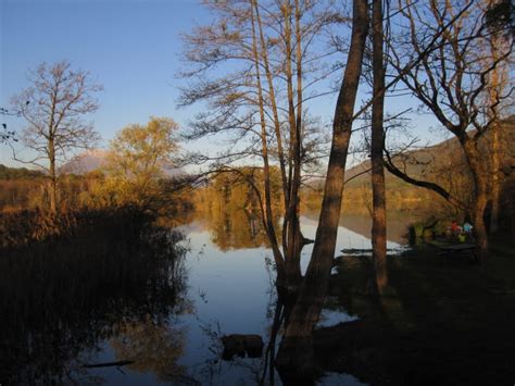 Promenade Confort Sentier Du Lac Et Randocroquis Des Rives Du