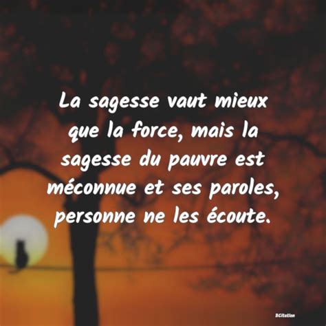 La Sagesse Vaut Mieux Que La Force Mais La Sagess