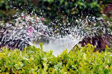 Sistemas De Riego Descubre C Mo Ahorrar Agua Con Ellos