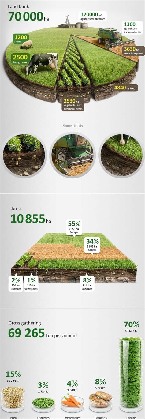 Agricultural Infographics By Anton Egorov D Data Visualization